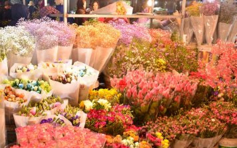 THE FLOWER MARKET - UNIQUE BEAUTY THAT IS HARD TO MISS