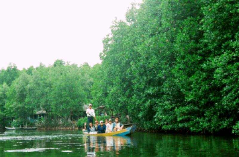 Can Gio mangrove forest